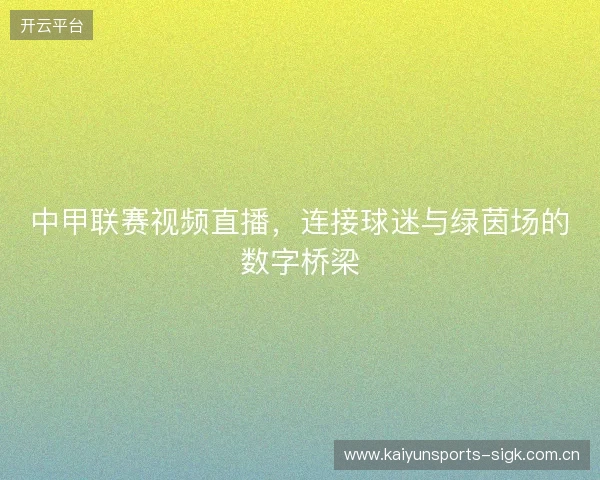 中甲联赛视频直播，连接球迷与绿茵场的数字桥梁